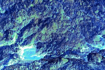 AP 88C1